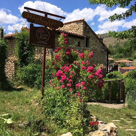 Casas Rurales Chon Alto Tajo Peralejos de las Truchas Εξωτερικό φωτογραφία