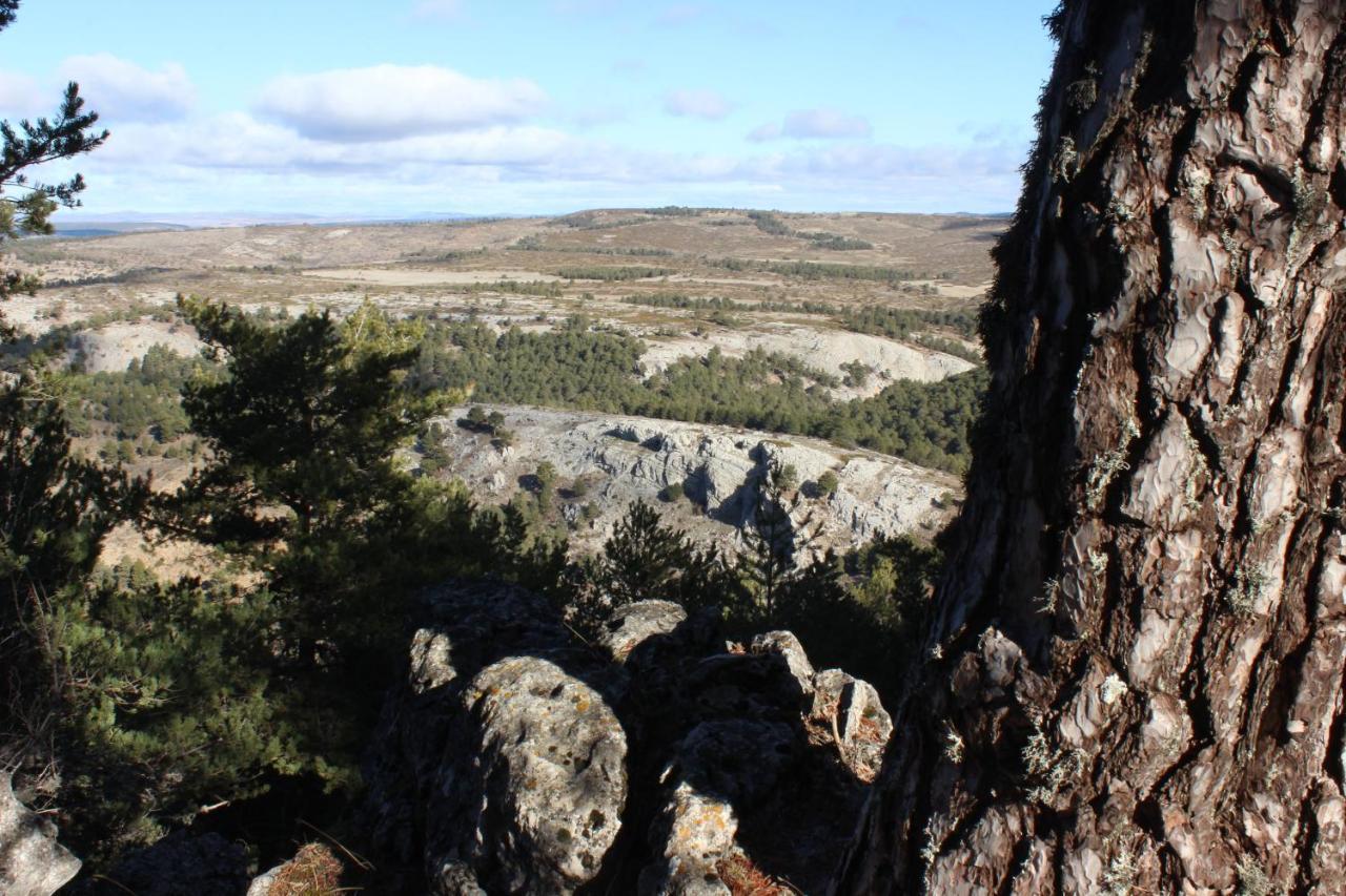 Casas Rurales Chon Alto Tajo Peralejos de las Truchas Εξωτερικό φωτογραφία