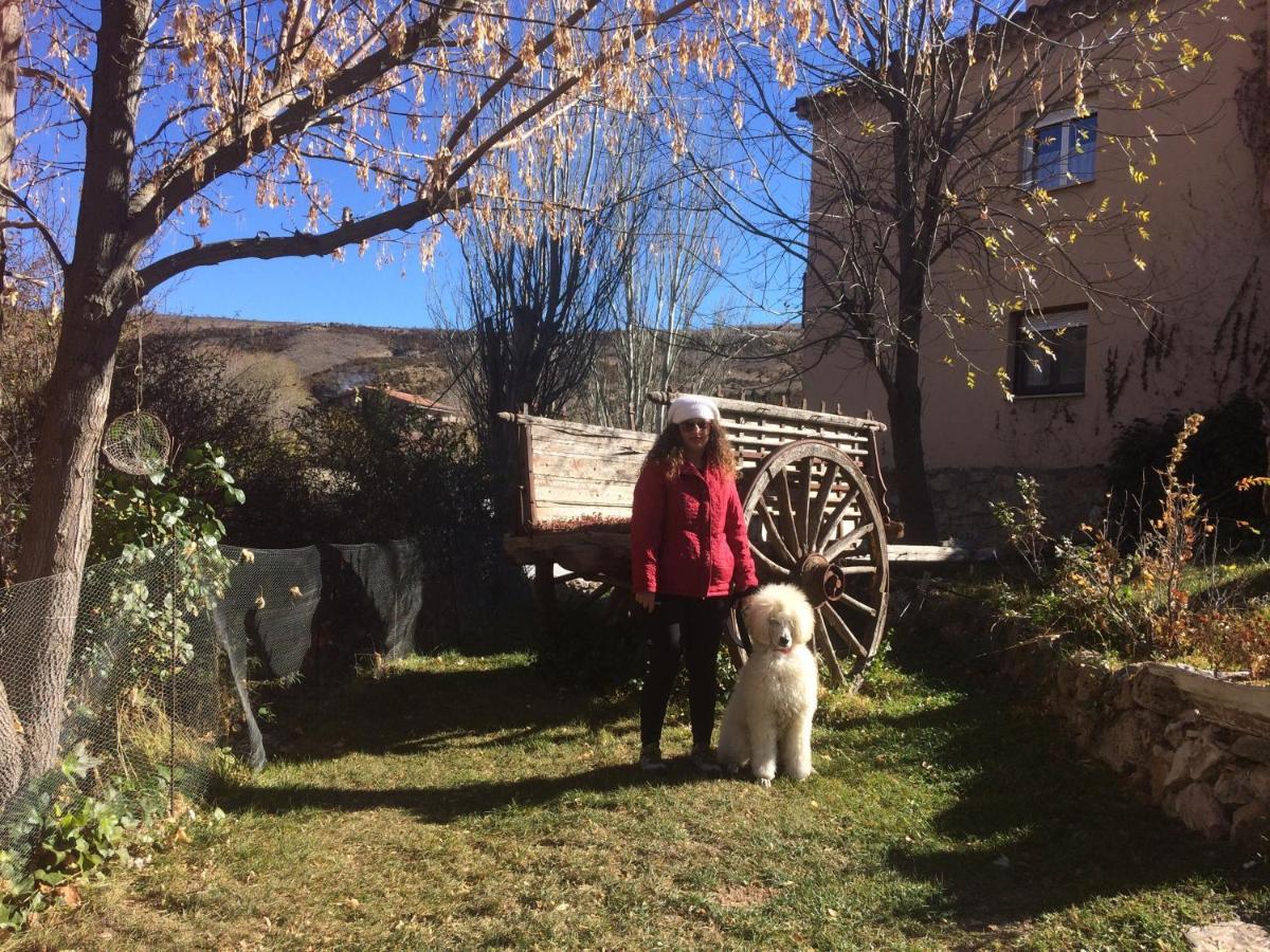 Casas Rurales Chon Alto Tajo Peralejos de las Truchas Εξωτερικό φωτογραφία