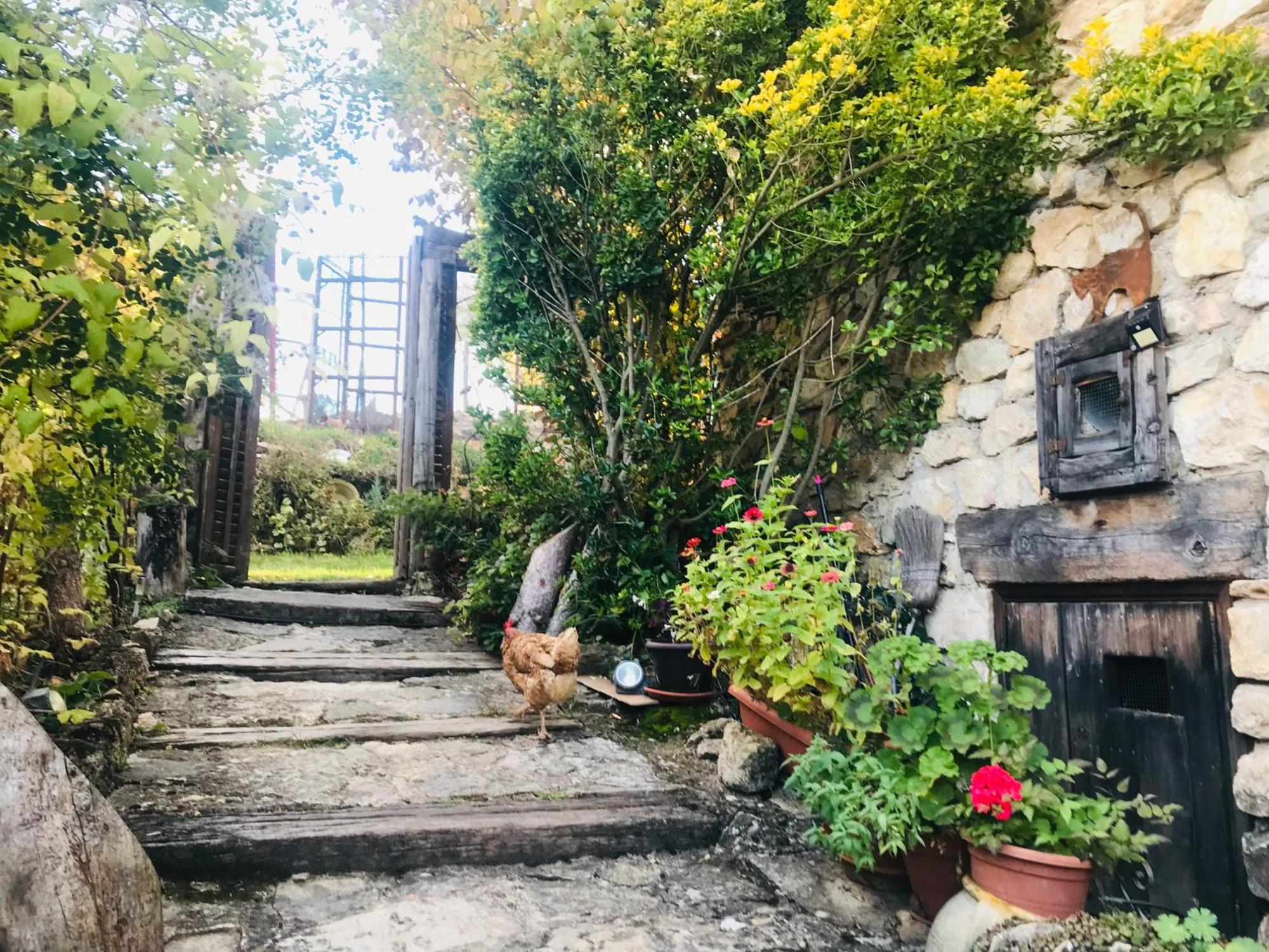 Casas Rurales Chon Alto Tajo Peralejos de las Truchas Εξωτερικό φωτογραφία