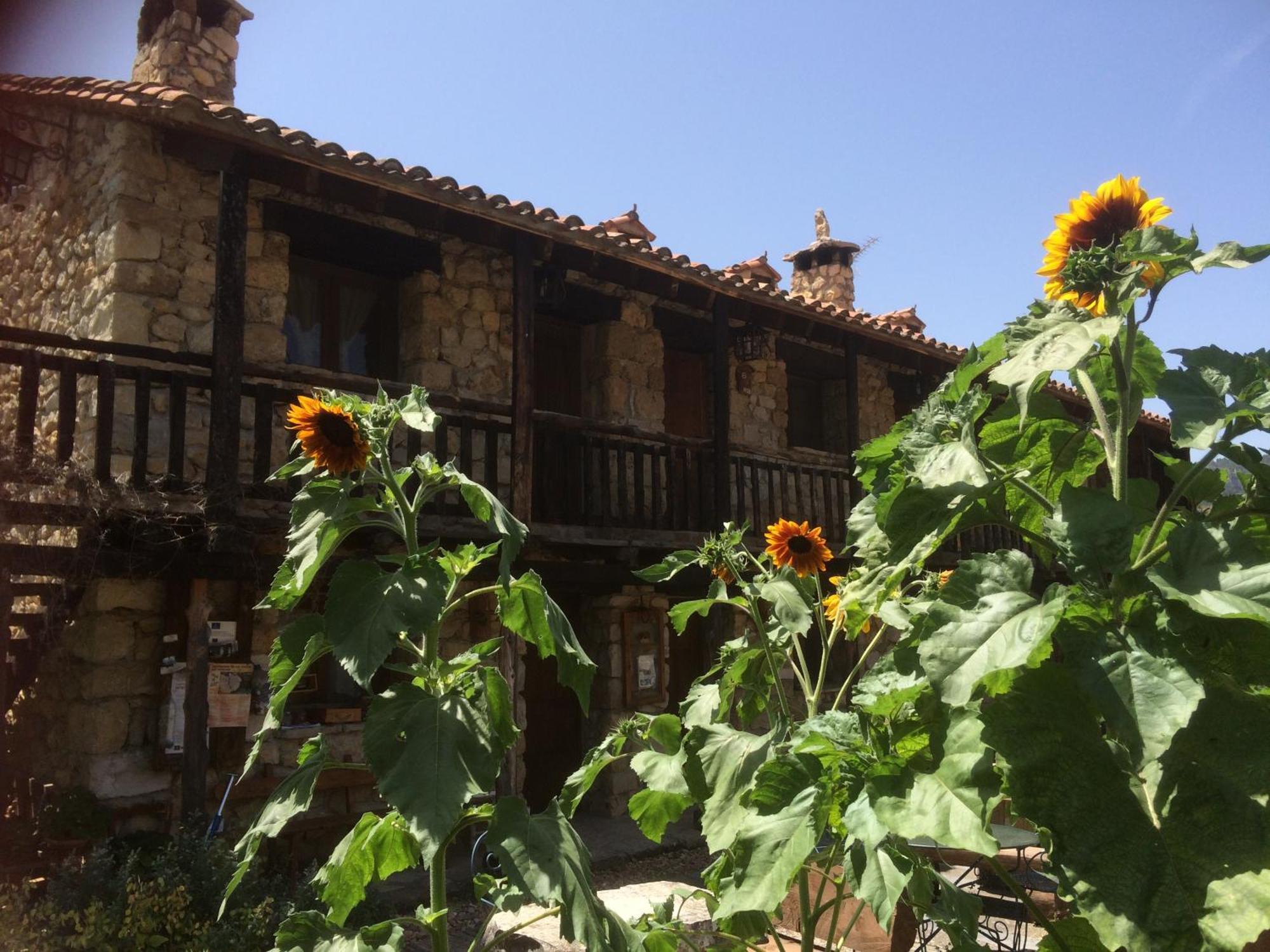 Casas Rurales Chon Alto Tajo Peralejos de las Truchas Εξωτερικό φωτογραφία