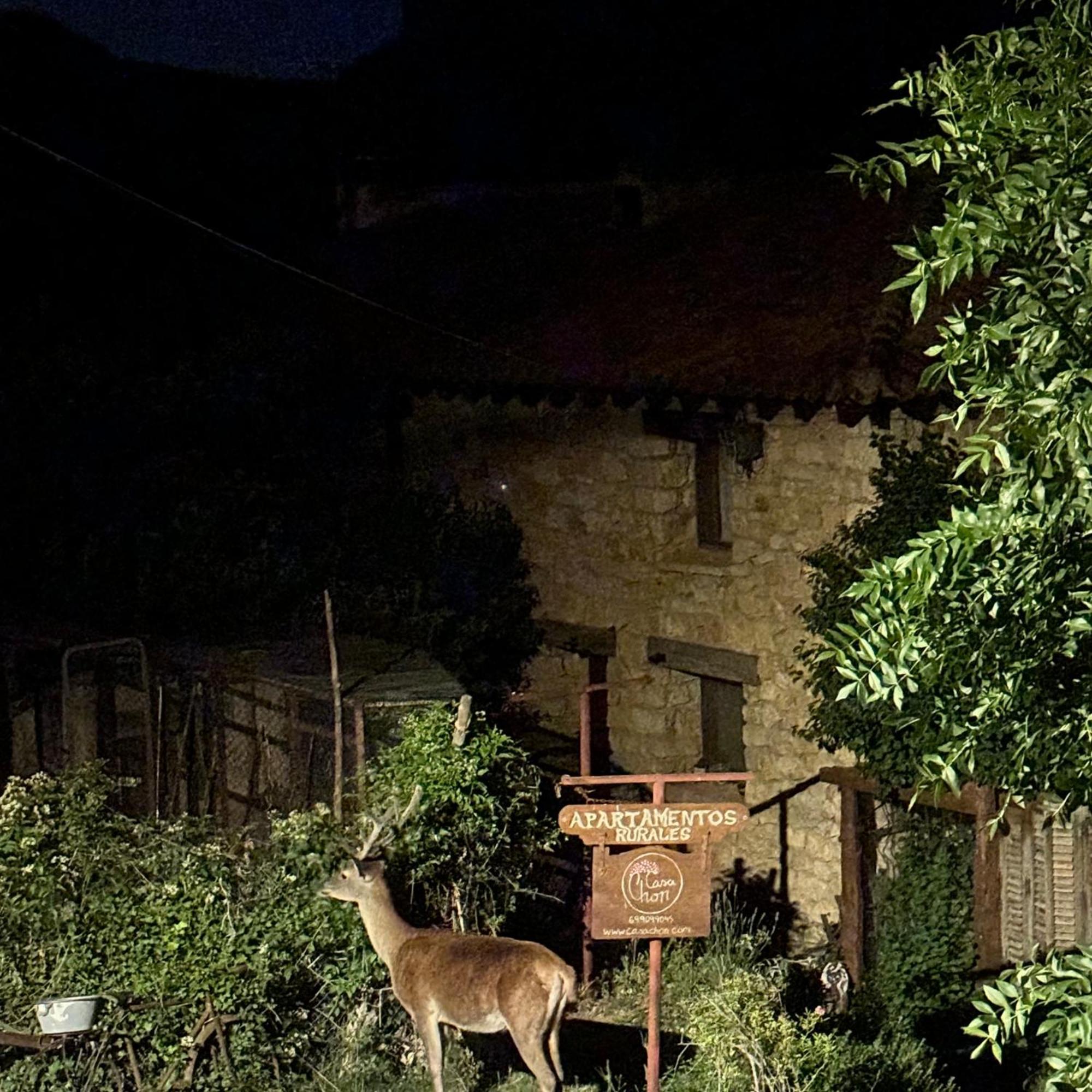 Casas Rurales Chon Alto Tajo Peralejos de las Truchas Εξωτερικό φωτογραφία
